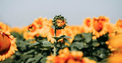 3 Lies You Tell Yourself That Are Hijacking Your Success
