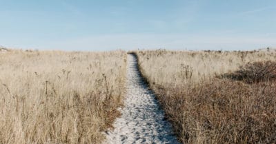 How To Find Your Passion What Is My Purpose In Life Quiz