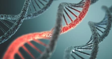 Shocking Discovery! Study Reveals Incredible Information About Our DNA
